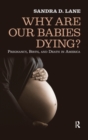 Image for Why Are Our Babies Dying? : Pregnancy, Birth, and Death in America