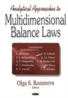 Image for Analytical Approaches to Multidimensional Balance Laws