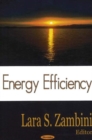 Image for Energy Efficiency