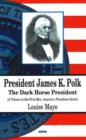 Image for President James K Polk