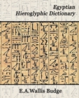 Image for Egyptian Hieroglyphic Dictionary