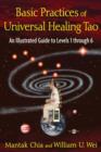 Image for Basic practices of universal healing tao  : an illustrated guide to levels 1 through 6