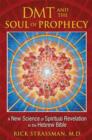 Image for DMT and the soul of prophecy  : a new science of spiritual revelation in the Hebrew Bible