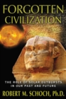 Image for Forgotten civilization: the role of solar outbursts in our past and future