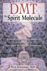 Image for DMT: The Spirit Molecule: A Doctor&#39;s Revolutionary Research into the Biology of Near-Death and Mystical Experiences