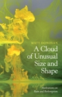 Image for A cloud of unusual size and shape: meditations on ruin and redemption