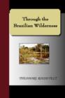 Image for Through the Brazilian Wilderness