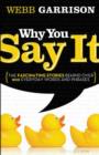 Image for Why You Say It : The Fascinating Stories Behind over 600 Everyday Words and Phrases