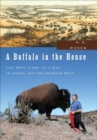 Image for A buffalo in the house: the true story of a man, an animal, and the American West