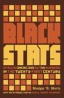 Image for Black stats: African Americans by the numbers in the twenty-first century