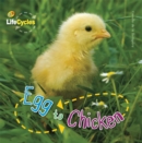 Image for Egg to Chicken