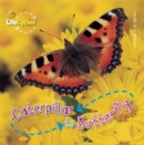 Image for Caterpillar to Butterfly