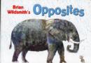 Image for Brian Wildsmith&#39;s Opposites
