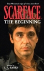 Image for Scarface Volume 1: The Beginning Volume