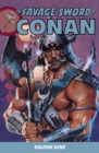 Image for Savage Sword Of Conan Volume 9