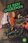 Image for Flash Gordon comic book archivesVolume 4 : Volume 4