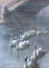 Image for Swans Under Bridge - Greeting Card