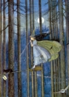Image for Witch On Her Broomstick Greeting Card