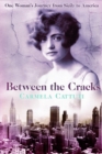 Image for Between the Cracks