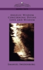 Image for Angelic Wisdom Concerning Divine Love and Wisdom