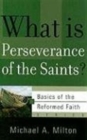 Image for What is Perseverance of the Saints?