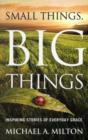 Image for Small Things, Big Things