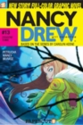 Image for Nancy Drew 13