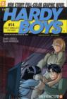Image for Hardy Boys 14