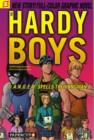 Image for Hardy Boys 18