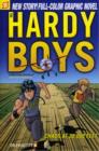 Image for Hardy Boys 19