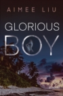 Image for Glorious boy: a novel