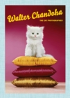 Image for Walter Chandoha, the cat photographer