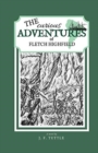 Image for The Curious Adventures of Fletch Highfield