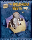 Image for Maiasaura Nests
