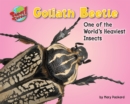 Image for Goliath Beetle