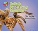 Image for Goliath Bird-Eating Tarantula
