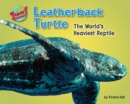 Image for Leatherback Turtle