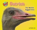 Image for Ostrich