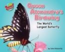Image for Queen Alexandra&#39;s Birdwing
