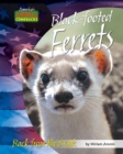 Image for Black-footed Ferrets
