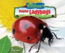 Image for Helpful Ladybugs