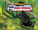 Image for Deadly Black Widows