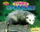 Image for Tricky Opossums