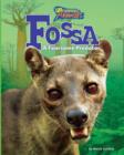 Image for Fossa