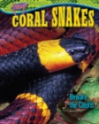 Image for Coral Snakes