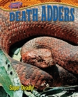 Image for Death Adders