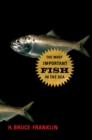 Image for The most important fish in the sea: menhaden and America