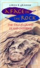Image for A face in the rock: the tale of a Grand Island Chippewa
