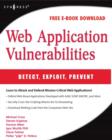 Image for Web Application Vulnerabilities : Detect, Exploit, Prevent