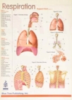 Image for Respiration
